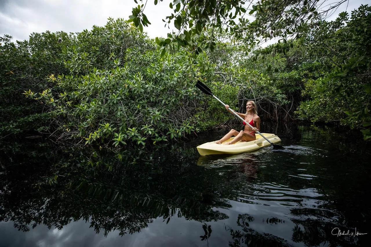 Manglex Eco Hotel Tulum