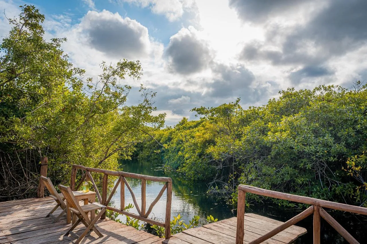 Manglex Eco Hotel Tulum Mexico