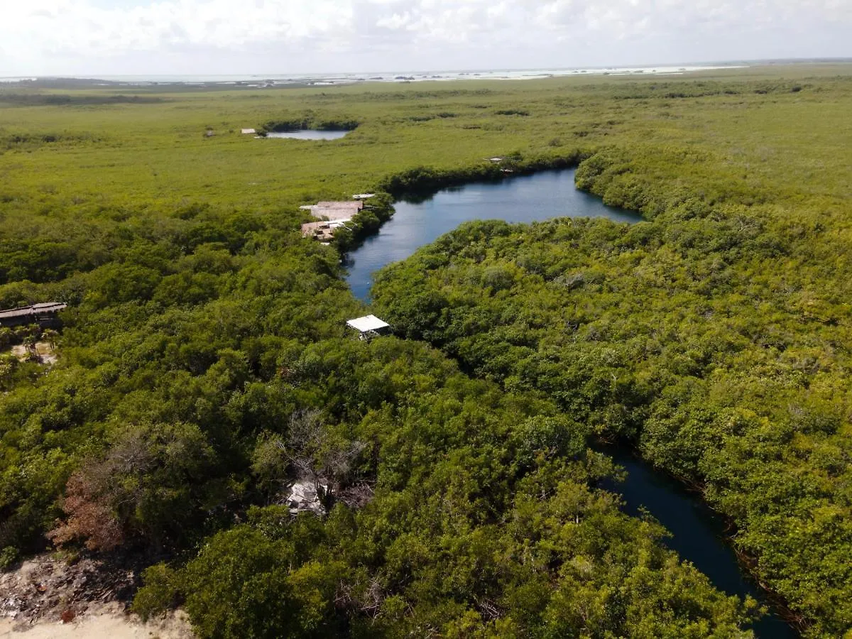 Manglex Eco Hotel Tulum