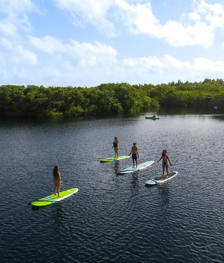 Manglex Eco Hotel Tulum