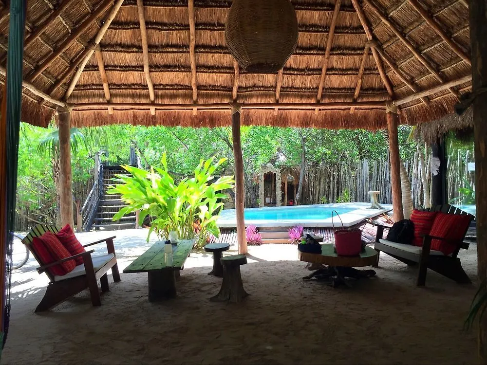 Manglex Eco Hotel Tulum Mexico