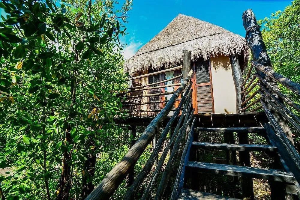 ***  Manglex Eco Hotel Tulum Mexico