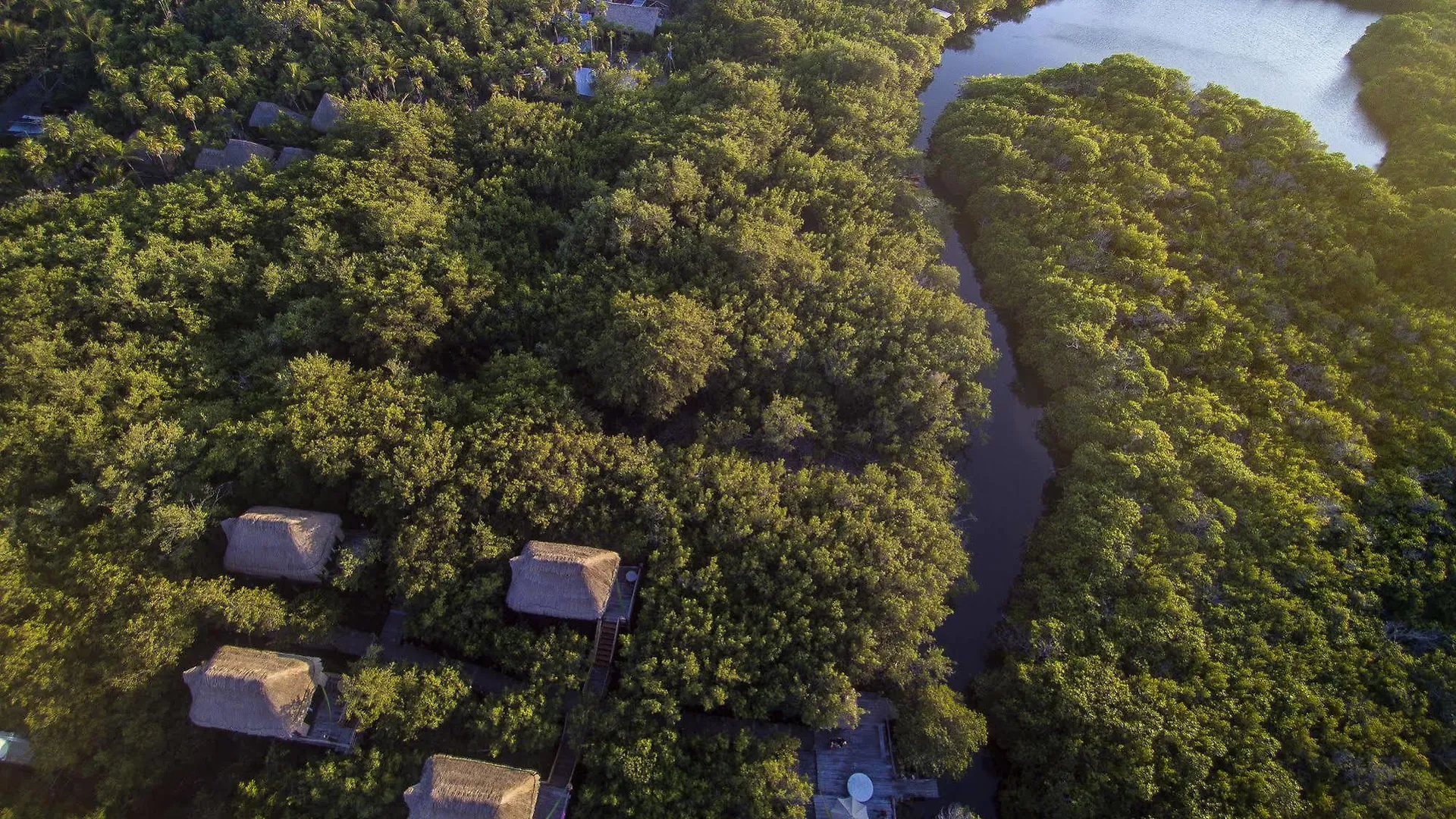 Manglex Eco Hotel Tulum