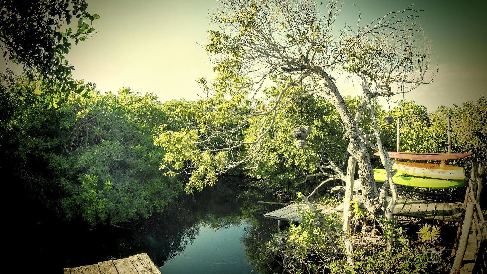 Manglex Eco Hotel Tulum