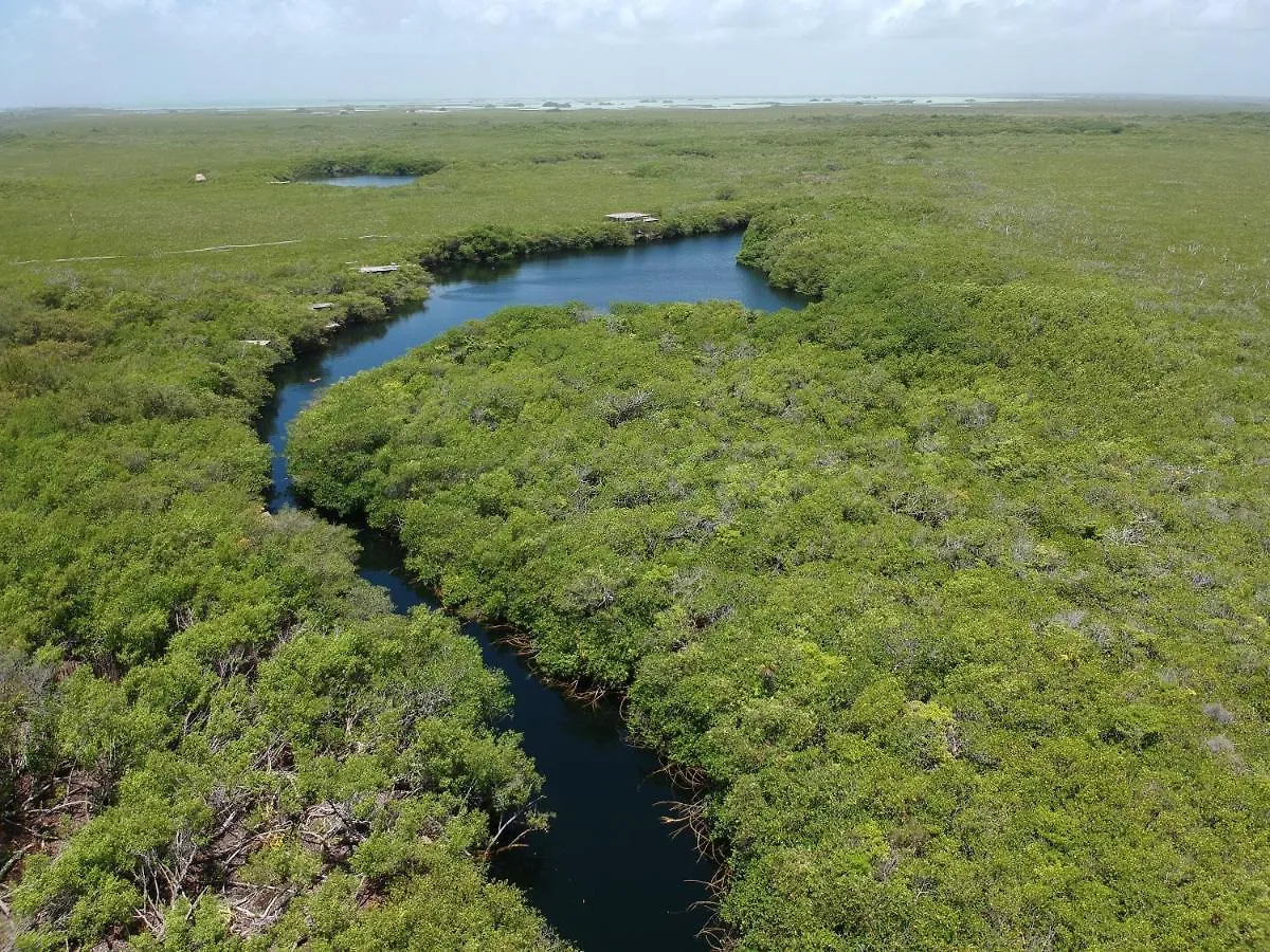 Manglex Eco Hotel Tulum