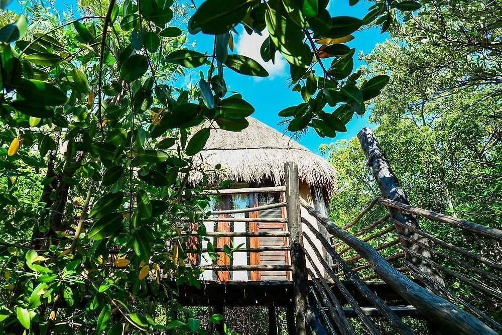 Manglex Eco Hotel Тулум